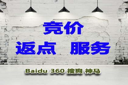竞价推广中的数据监控与分析：某行业头部企业的成功经验